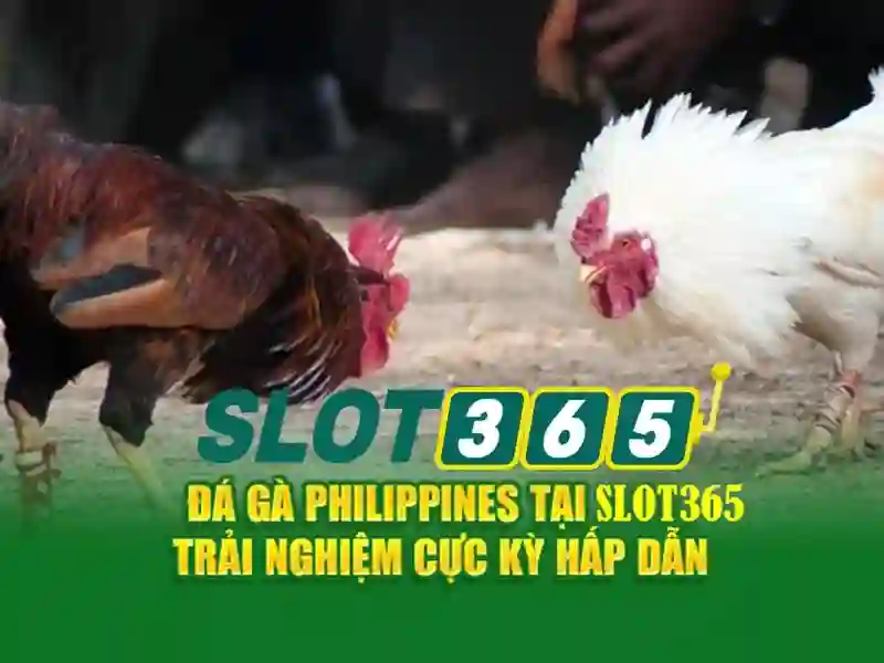 Các trò chơi và nhà cung cấp