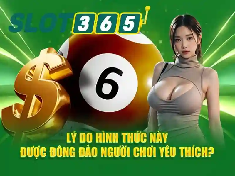 Ứng dụng thực tế và trải nghiệm