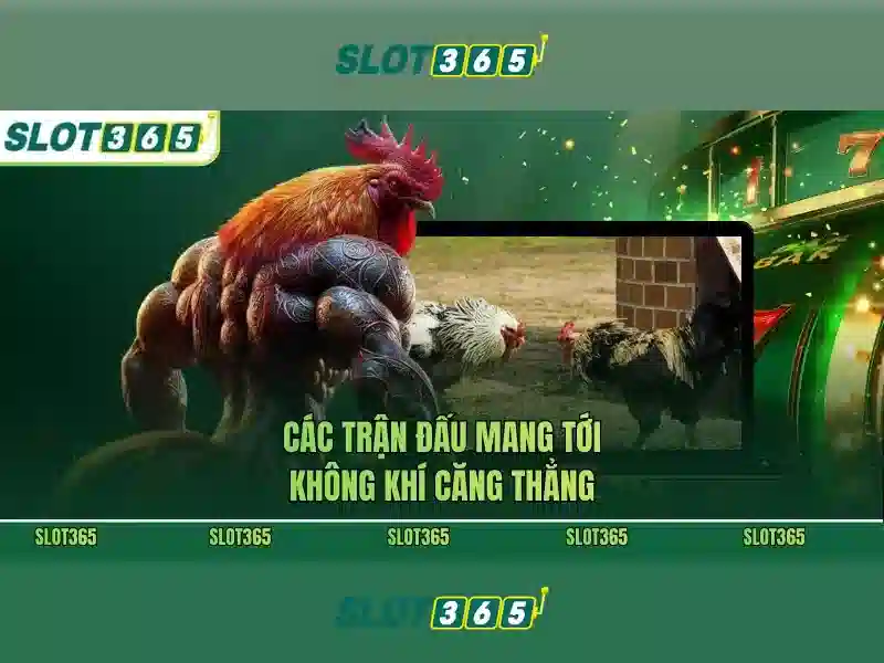 Giới thiệu Slot365