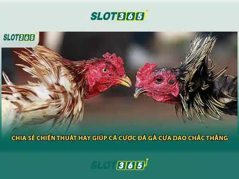 Đa dạng trò chơi và nhà cung cấp