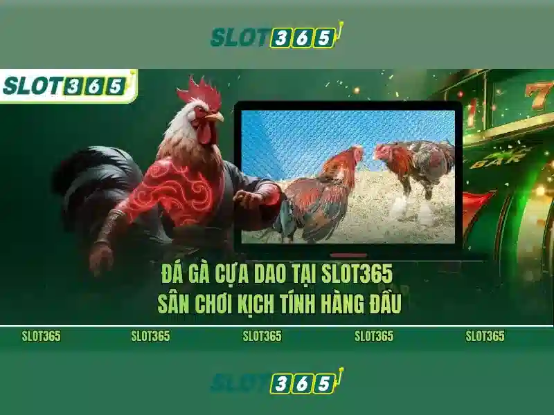 Slot365: Nền tảng slot trực tuyến uy tín