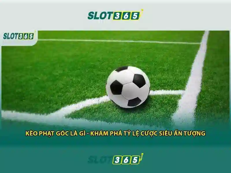 slot365 com: Trải nghiệm Slot365 cho cộng đồng Giao diện nhà cái hoàn hảo