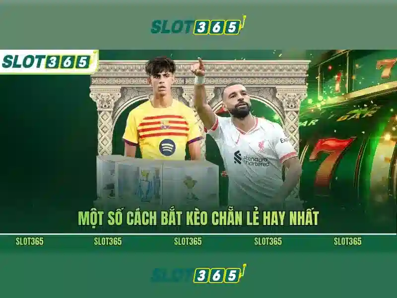 Slot365: Khám phá nền tảng slot trực tuyến và các trò chơi hấp dẫn Giao diện nhà cái hoàn hảo