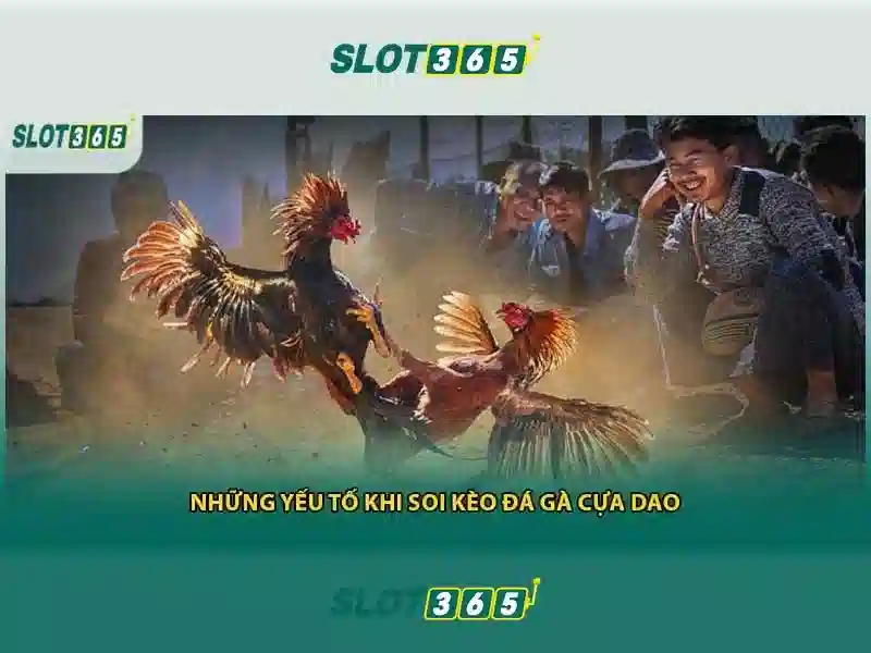 Các tính năng nổi bật của Slot365