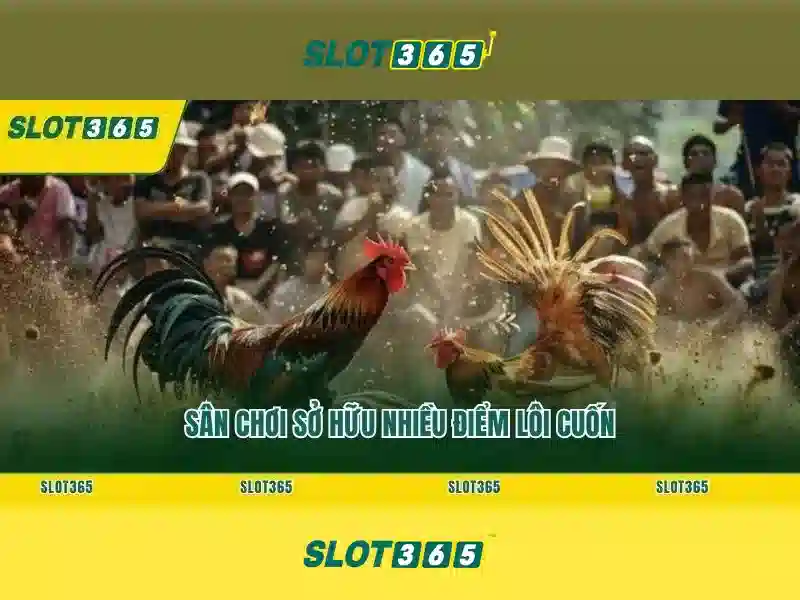 phiên bản mới Slot365 – chủ đề tổng quan và giá trị cốt lõi