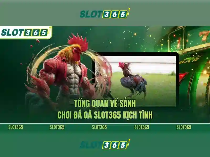 Phản hồi cộng đồng slot365