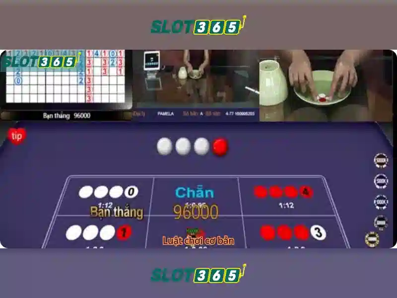 Slot365: Nền tảng slot trực tuyến phổ biến
