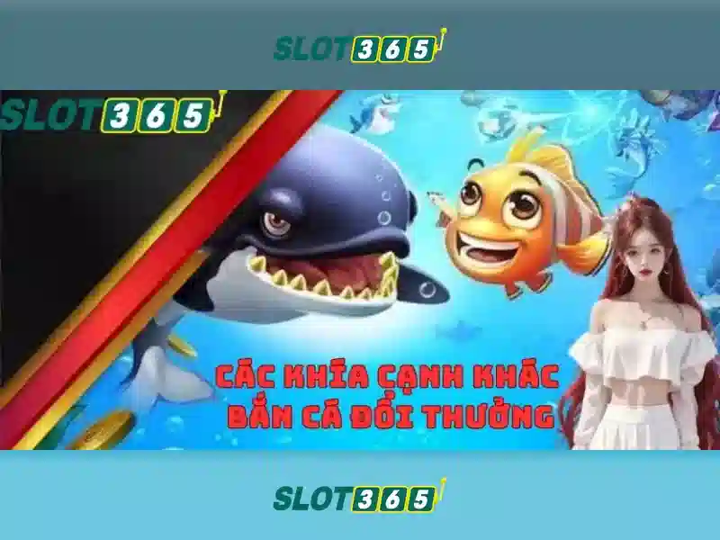 An toàn thanh toán và ưu đãi