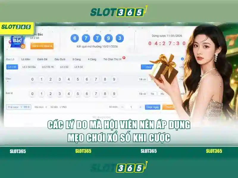 Slot365 - Tổng quan và đánh giá Giao diện nhà cái hoàn hảo