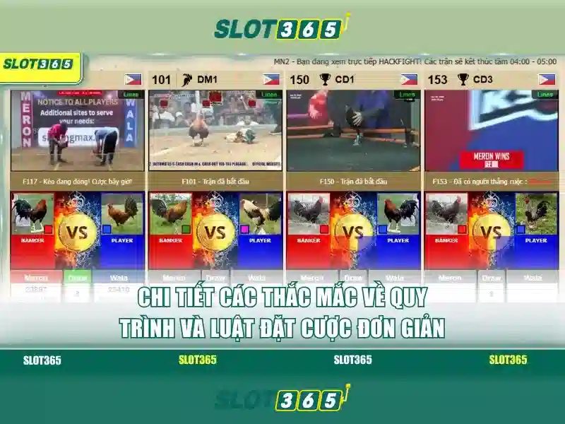 Slot365 – Nhà cái slot trực tuyến uy tín tại Việt Nam Giao diện nhà cái hoàn hảo