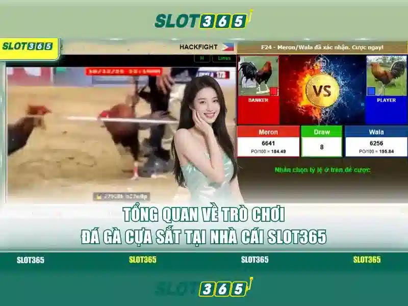 Giao diện nhà cái hoàn hảo
