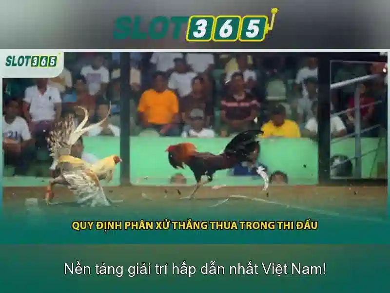 Đánh giá an toàn và trả thưởng
