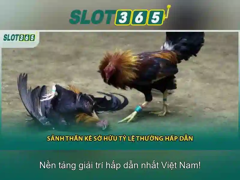 Giao diện nhà cái hoàn hảo