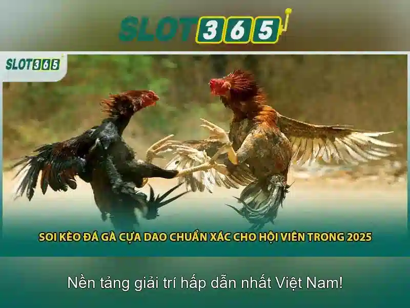 Trải nghiệm người dùng và bảo mật