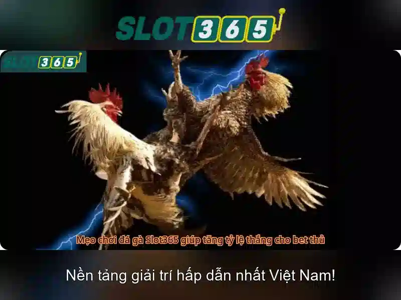 Cam kết an toàn thanh toán và hỗ trợ người chơi