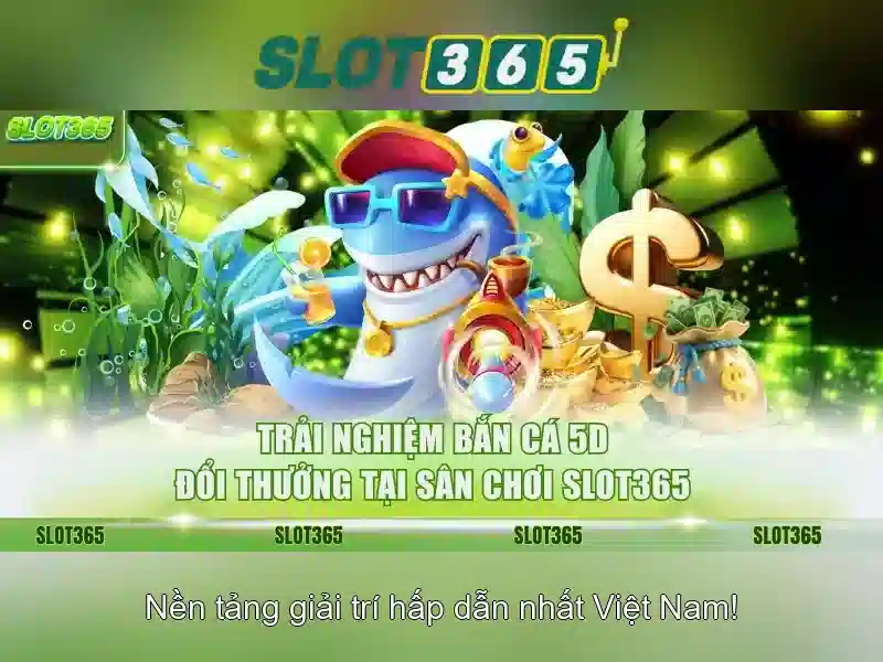 Trải nghiệm người dùng và thiết kế
