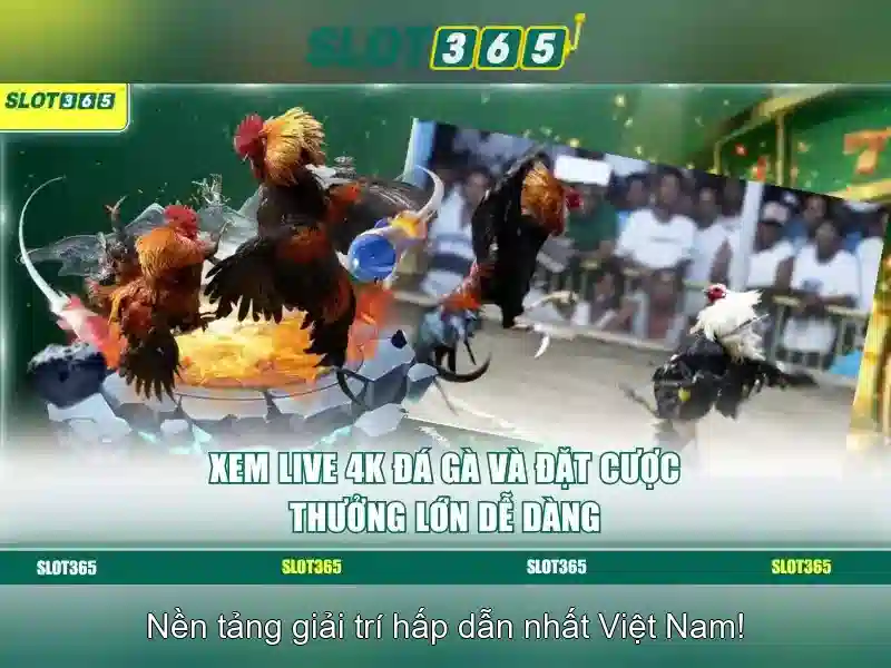 Tổng quan chủ đề và giá trị cốt lõi