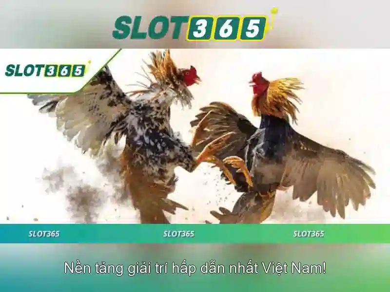 Trò chơi và trải nghiệm người dùng