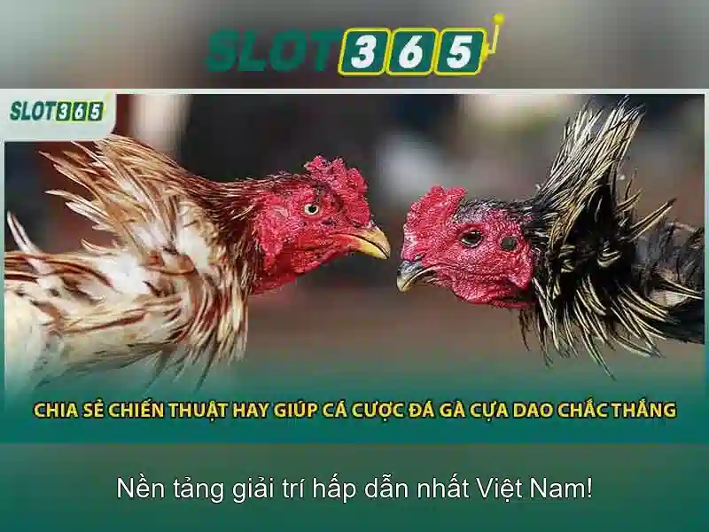 Slot365 app – chủ đề và giá trị cốt lõi