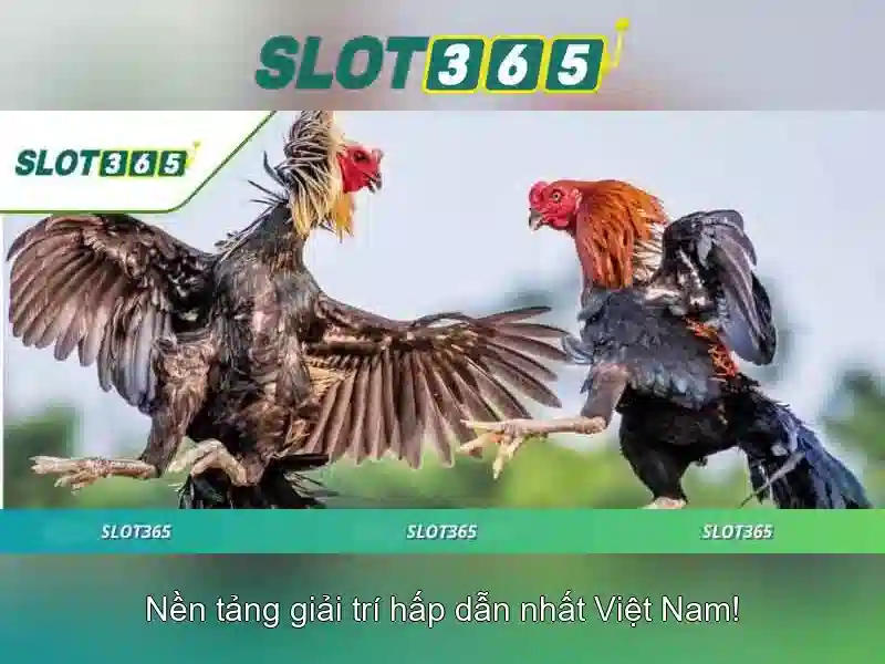 Trải nghiệm người chơi trên Slot365