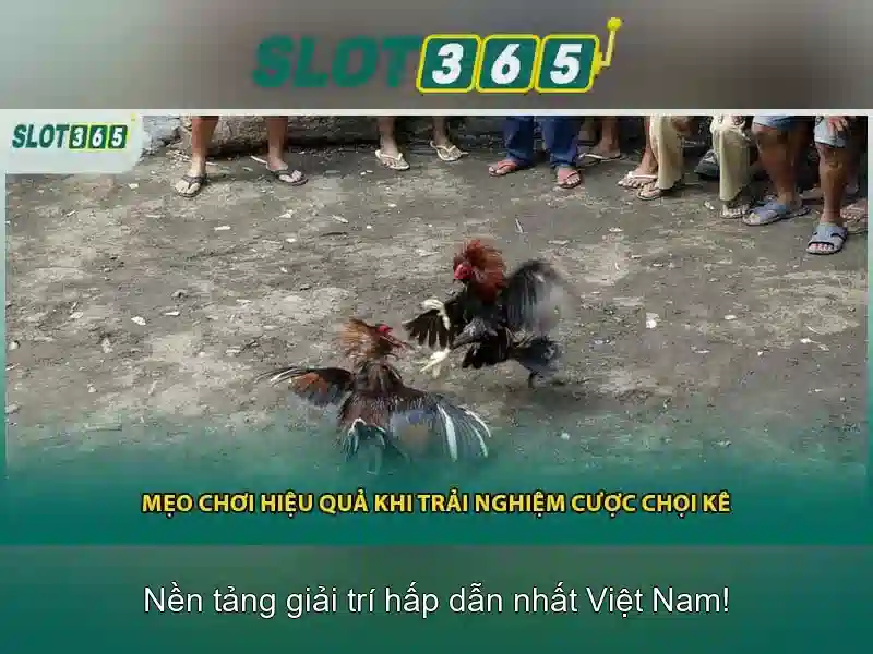 Các trò chơi tại Slot365