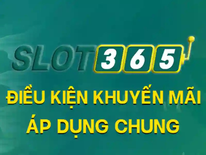An toàn thanh toán và hỗ trợ