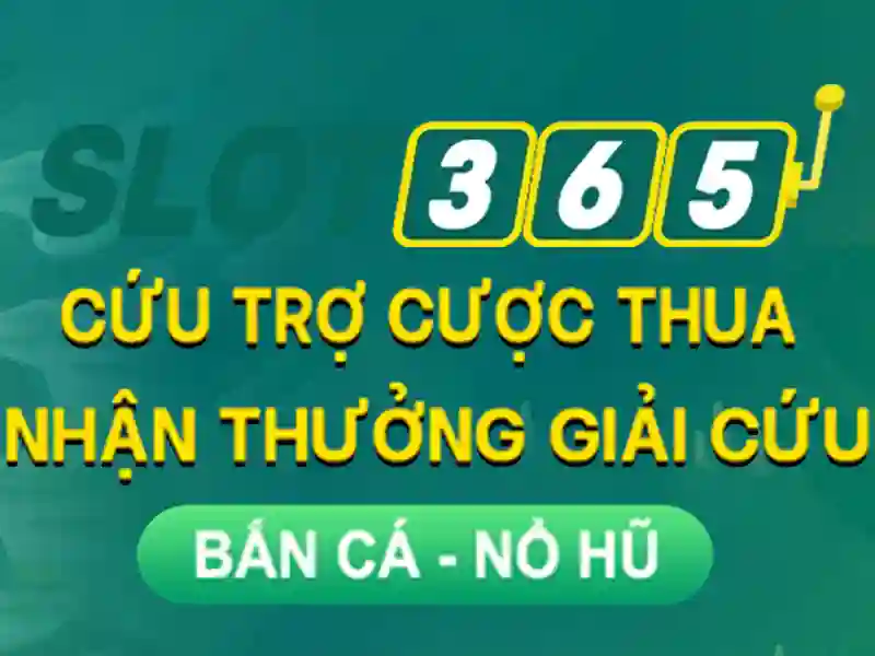 Triển vọng phát triển và tầm nhìn tương lai