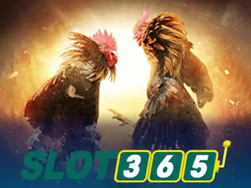 Slot365 – Nền tảng xèng trực tuyến hàng đầu dành cho người chơi Việt Giao diện nhà cái hoàn hảo