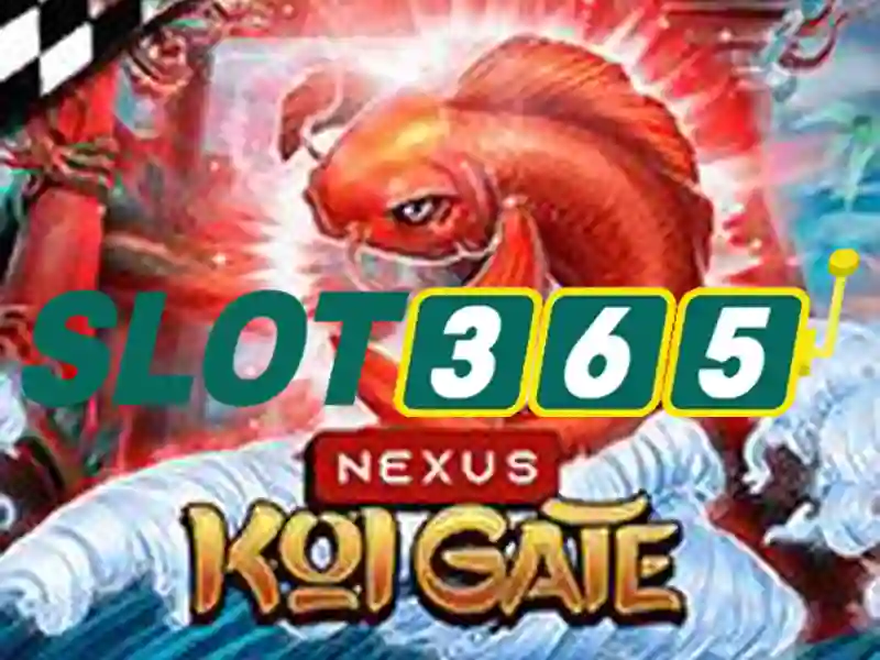 Kết luận về Slot365